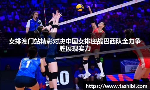 bellbet贝博官网