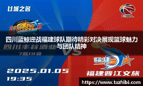 bellbet贝博官网